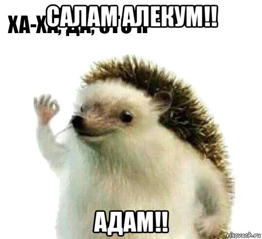 салам алекум!! адам!!, Мем Ха-ха да это я