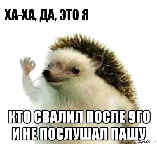  кто свалил после 9го и не послушал пашу, Мем Ха-ха да это я