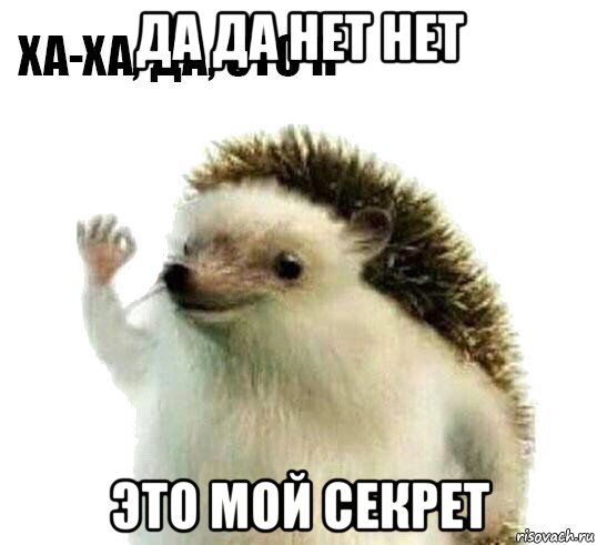 да да нет нет это мой секрет