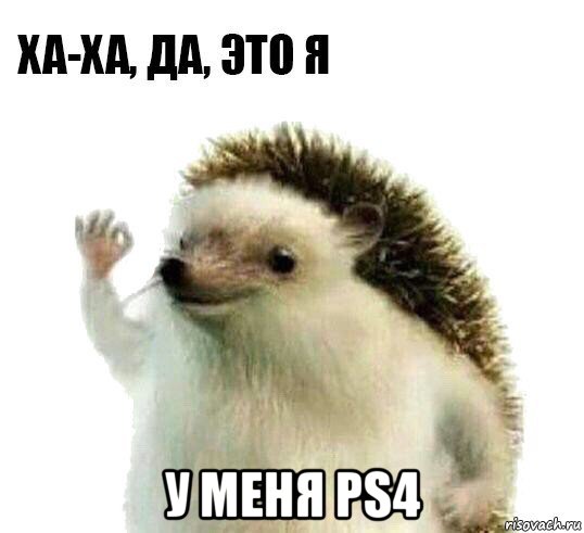  у меня ps4, Мем Ха-ха да это я