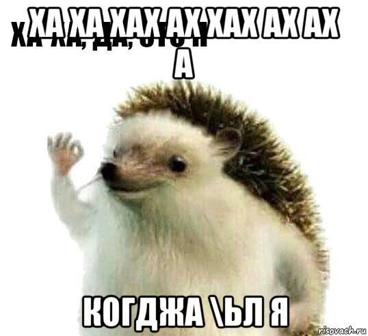 ха ха хах ах хах ах ах а когджа \ьл я