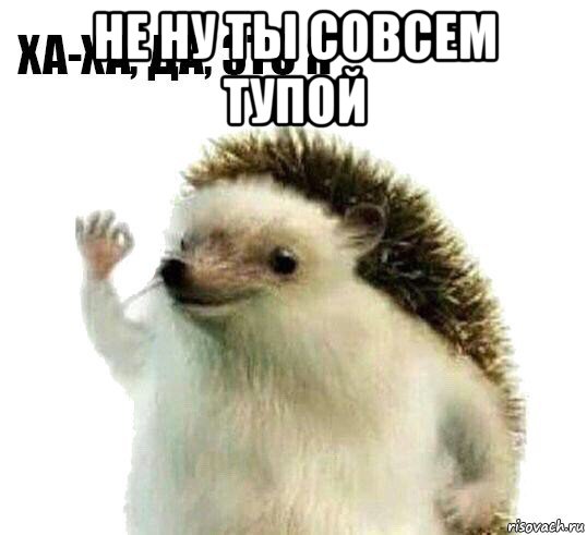 не ну ты совсем тупой 