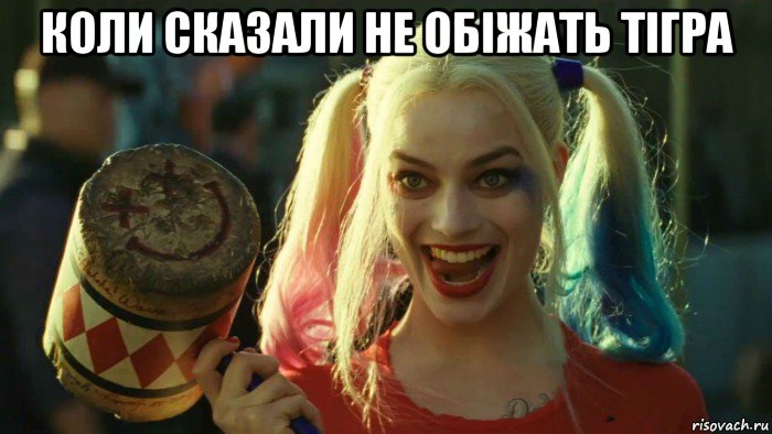 коли сказали не обіжать тігра , Мем    Harley quinn