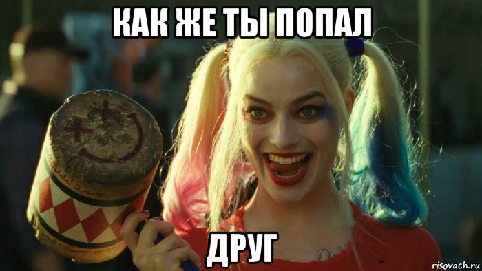 как же ты попал друг, Мем    Harley quinn