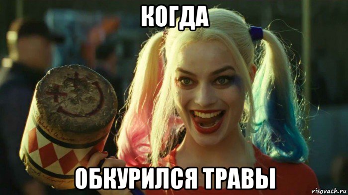 когда обкурился травы, Мем    Harley quinn