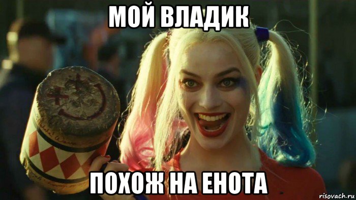 мой владик похож на енота, Мем    Harley quinn