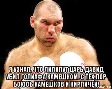  я узнал, что лилипут царь давид убил голиафа камешком. с тех пор боюсь камешков и кирпичей!