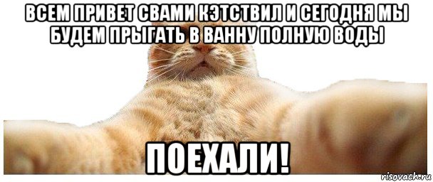 всем привет свами кэтствил и сегодня мы будем прыгать в ванну полную воды поехали!, Мем   Кэтсвилл