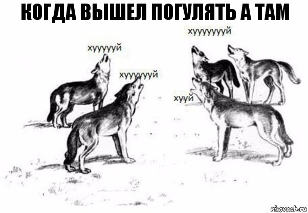 КОГДА ВЫШЕЛ ПОГУЛЯТЬ А ТАМ