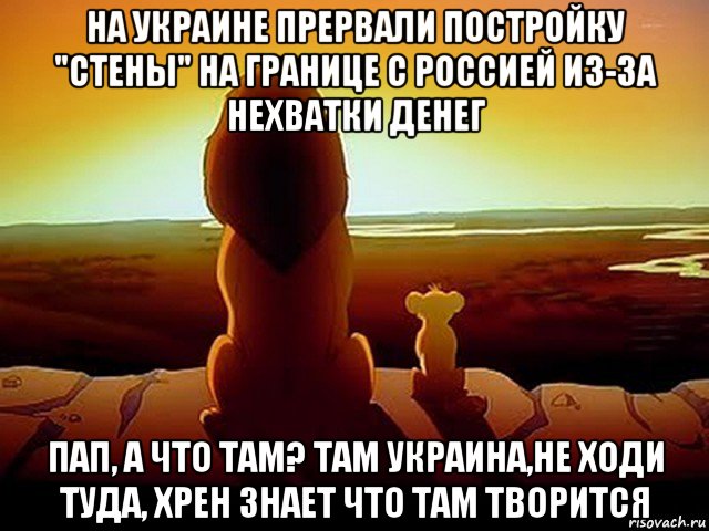 на украине прервали постройку "стены" на границе с россией из-за нехватки денег пап, а что там? там украина,не ходи туда, хрен знает что там творится, Мем  король лев