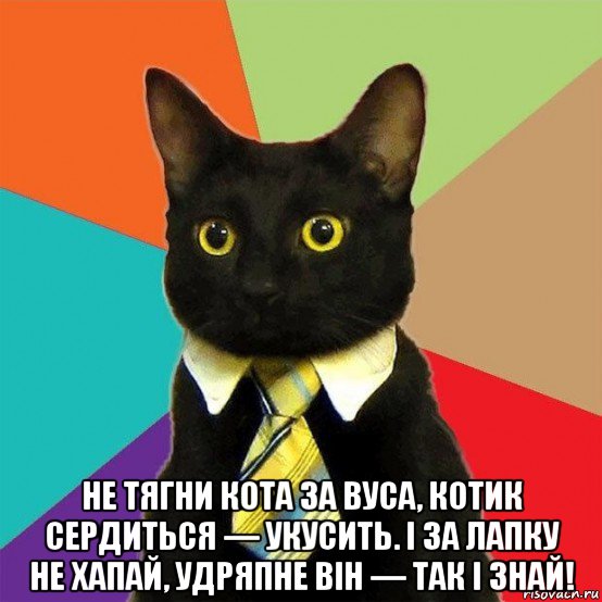  не тягни кота за вуса, котик сердиться — укусить. і за лапку не хапай, удряпне він — так і знай!, Мем  Кошечка