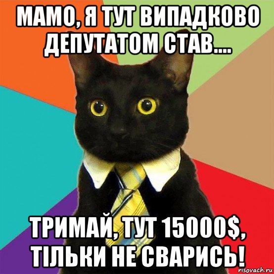 мамо, я тут випадково депутатом став.... тримай, тут 15000$, тільки не сварись!, Мем  Кошечка