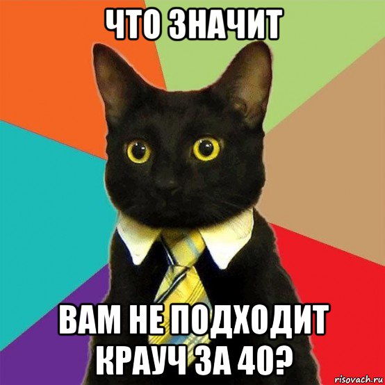 что значит вам не подходит крауч за 40?, Мем  Кошечка