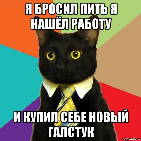 я бросил пить я нашёл работу и купил себе новый галстук, Мем  Кошечка