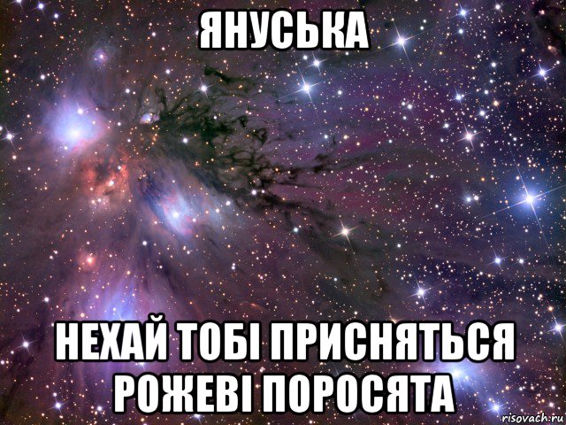 януська нехай тобі присняться рожеві поросята, Мем Космос