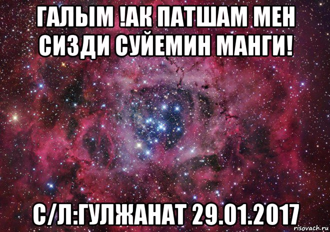 галым !ак патшам мен сизди суйемин манги! с/л:гулжанат 29.01.2017, Мем Ты просто космос