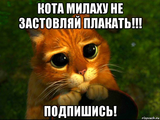 кота милаху не застовляй плакать!!! подпишись!, Мем кот из шрека