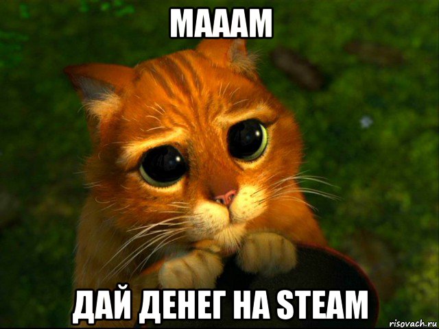 мааам дай денег на steam, Мем кот из шрека