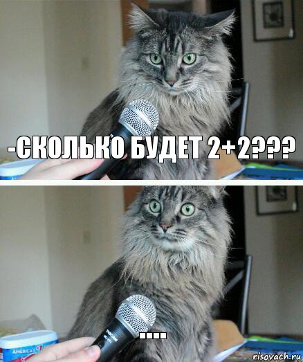 -сколько будет 2+2??? ...., Комикс  кот с микрофоном