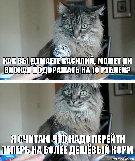 Как вы думаете Василий, может ли вискас подоражать на 10 рублей? Я считаю что надо перейти теперь на более дешёвый корм, Комикс  кот с микрофоном