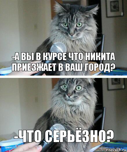 -А вы в курсе что Никита приезжает в ваш город? -Что серьёзно?, Комикс  кот с микрофоном