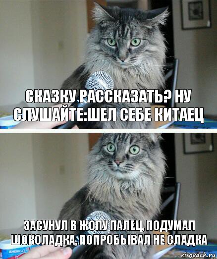 сказку рассказать? ну слушайте:шел себе китаец засунул в жопу палец, подумал шоколадка, попробывал не сладка, Комикс  кот с микрофоном