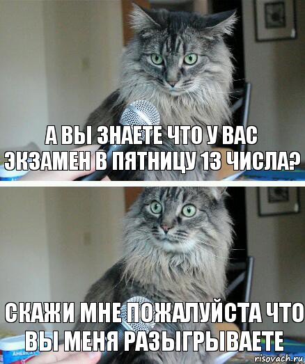 А вы знаете что у вас экзамен в пятницу 13 числа? Скажи мне пожалуйста что вы меня разыгрываете, Комикс  кот с микрофоном