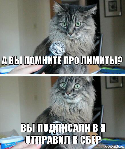 а вы помните про лимиты? вы подписали в я отправил в сбер, Комикс  кот с микрофоном