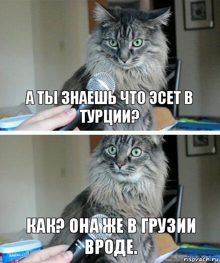 А ты знаешь что Эсет в турции? как? она же в грузии вроде., Комикс  кот с микрофоном