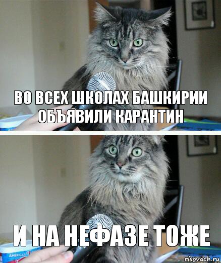 во всех школах башкирии объявили карантин и на нефазе тоже, Комикс  кот с микрофоном