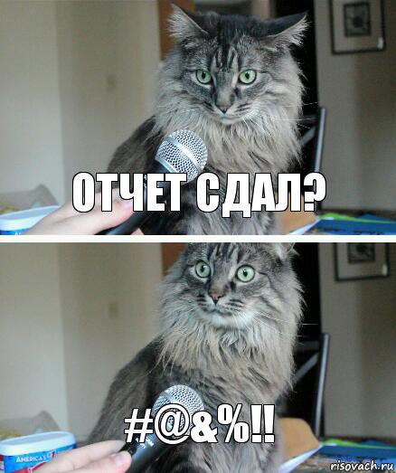 Отчет сдал? #@&%!!, Комикс  кот с микрофоном