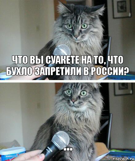 Что вы суакете на то, что бухло запретили в россии? ..., Комикс  кот с микрофоном