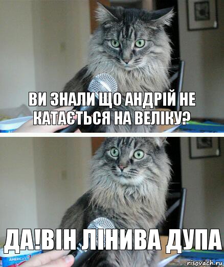 ви знали що Андрій не катається на веліку? да!він лінива дупа, Комикс  кот с микрофоном