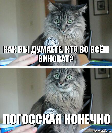 как вы думаете, кто во всём виноват? погосская конечно, Комикс  кот с микрофоном