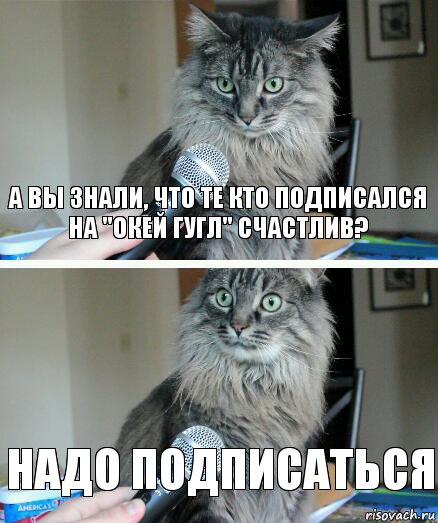 А вы знали, что те кто подписался на "Окей гугл" счастлив? Надо подписаться, Комикс  кот с микрофоном