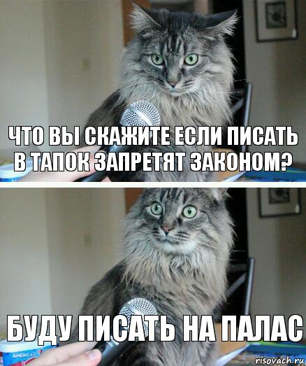 Что вы скажите если писать в тапок запретят законом? Буду писать на палас