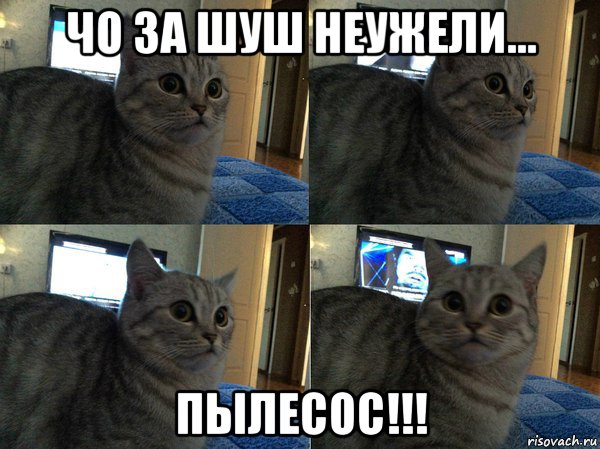 чо за шуш неужели... пылесос!!!, Мем  Кот в шоке