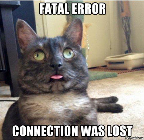 fatal error connection was lost, Мем   Кот завис