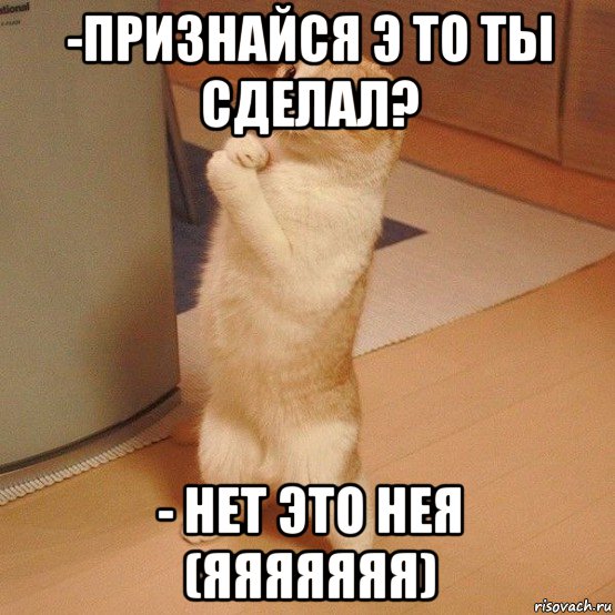 -признайся э то ты сделал? - нет это нея (яяяяяяя), Мем  котэ молится