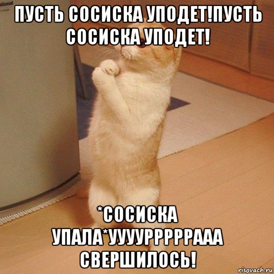 пусть сосиска уподет!пусть сосиска уподет! *сосиска упала*уууурррррааа свершилось!, Мем  котэ молится