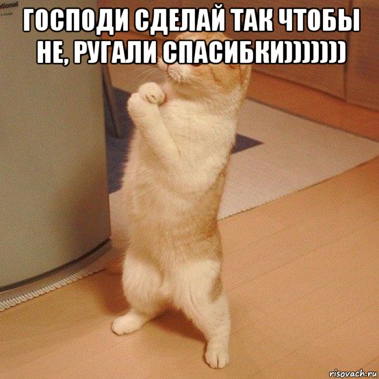 господи сделай так чтобы не, ругали спасибки))))))) , Мем  котэ молится