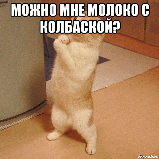 можно мне молоко с колбаской? , Мем  котэ молится