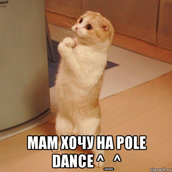  мам хочу на pole dance ^_^, Мем  котэ молится