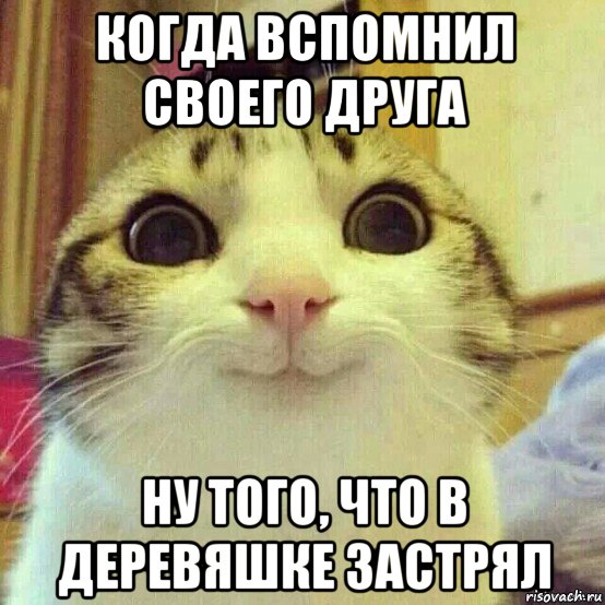 когда вспомнил своего друга ну того, что в деревяшке застрял, Мем       Котяка-улыбака