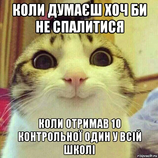 коли думаєш хоч би не спалитися коли отримав 10 контрольної один у всій школі, Мем       Котяка-улыбака