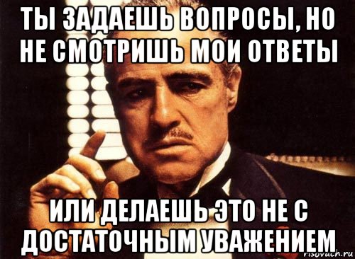 ты задаешь вопросы, но не смотришь мои ответы или делаешь это не с достаточным уважением, Мем крестный отец