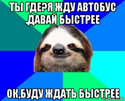 ты где?я жду автобус .давай быстрее ок,буду ждать быстрее, Мем Ленивец