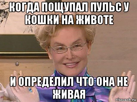 когда пощупал пульс у кошки на животе и определил что она не живая, Мем Елена Малышева