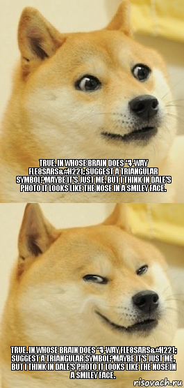 True. In whose brain does &#8220;4-way fle8sars&#h221; suggest a triangular symbol?Maybe it&#8217;s just me, but I think in Dale&#8217;s photo it looks like the nose in a smiley face. True. In whose brain does &#8220;4-way fle8sars&#h221; suggest a triangular symbol?Maybe it&#8217;s just me, but I think in Dale&#8217;s photo it looks like the nose in a smiley face., Комикс   DOGE довольный