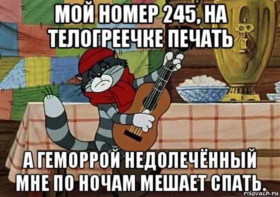 мой номер 245, на телогреечке печать а геморрой недолечённый мне по ночам мешает спать., Мем Грустный Матроскин с гитарой